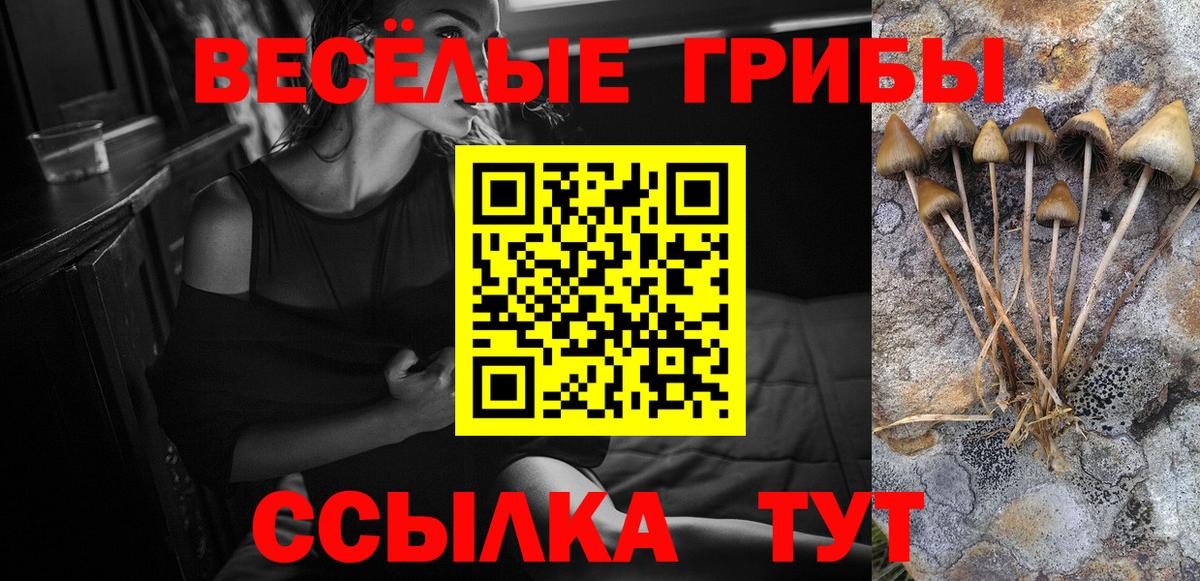 Донецк  Псилоцибиновые грибы Cubensis  Вход с VPN 