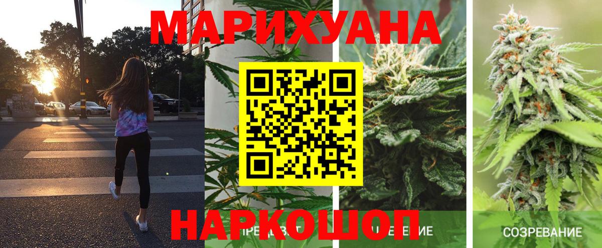 Бошки Шишки ГИДРОПОН  Бошки марихуана Amnesia  Шишки марихуана Bruce Banner  Каннабис марихуана  Вход с VPN  Донецк 